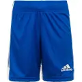 Adidas Tastigo 19 Shorts