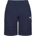 Puma Teamgoal 23 Casuals Shorts