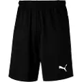 Puma Liga Training Shorts