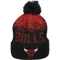 New Era Nba Sport Chicago Bulls Lue