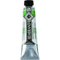 Rembrandt Acrylic Colour Tube Permanent Green Light 618