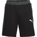 Puma Evostripe 8´´ Shorts