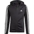 Adidas Designed To Move 3 Stripes Treningsdress