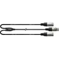 Cordial CFY 0.3 FMM, 2 x XLR (3-pin), Hankjønn, XLR (3-pin), Hunkjønn, 0,3 m, Sort