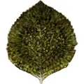 Costa Nova COSTA NOVAServeringsfat Hydrangea 17cmGrønnServeringsfatFra Homeroom