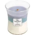 Woodwick Trilogy Medium Calming Retreat 275g Lys