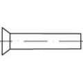 Toolcraft 112314 Sænknitte (Ø x L) 6 mm x 22 mm Stål 250 stk