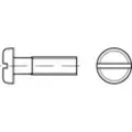 Toolcraft 1059820 Skruer med fladt hoved M3 4 mm Kærv DIN 85 Rustfrit stål A2 1000 stk