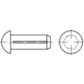Toolcraft 1066888 Halvrundt rillet søm (Ø x L) 5 mm x 12 mm Rustfrit stål A2 100 stk