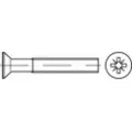 Toolcraft TO-5376219 Undersænkede skruer M2 16 mm Krydskærv Philips Rustfrit stål A4 1000 stk