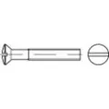 Toolcraft TO-5450730 Undersænkede linseskruer M5 16 mm Kærv DIN 964 Messing Forniklet 200 stk