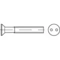 Toolcraft TO-5379960 Sikkerhedsskruer M4 50 mm Tohuls 88112 Rustfrit stål A2 100 stk