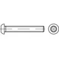 Toolcraft TO-5380248 Sikkerhedsskruer M8 50 mm Invendig sekskant 88116 Rustfrit stål A2 100 stk
