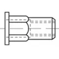 Toolcraft TO-5444325 Blindnittemøtrik M6 Stål 250 stk