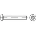 Toolcraft TO-5380074 Sikkerhedsskruer M12 25 mm Indvendig sekskant med stift 88113 Rustfrit stål A2 500 stk