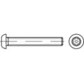 Toolcraft TO-5380206 Sikkerhedsskruer M5 40 mm Invendig sekskant 88116 Rustfrit stål A2 100 stk