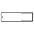 Toolcraft TO-5394600 Skaftskruer M6 100 stk