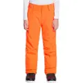 Quiksilver Arcade Bukser