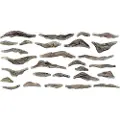 Woodland WC1245 Universal gummiform Flodbred (L x B) 250 mm x 130 mm
