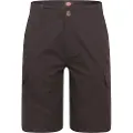 Dickies Millerville Shorts