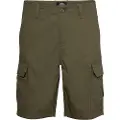 Dickies Millerville Shorts