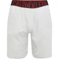 Calvin Klein Logo Boxers