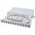 Digitus - Spleiseboks for fiberoptikk - 1U - 19