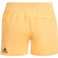Adidas Heatready Shorts