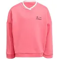 Adidas Lg Dy Cpo Collegegenser