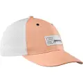 Salomon Trucker Curved Cap