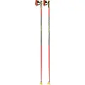 LEKI LE KIJ HRC Team 180