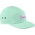 Salomon Five P Cap