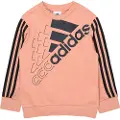 Adidas Logo Collegegenser