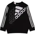 Adidas Logo Collegegenser