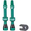 CushCore Presta Tubeless Ventiler
