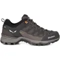 Salewa Mtn Trainer Lite Goretex Tursko
