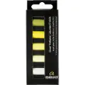 Rembrandt Soft pastel set Cool Yellows | 5 half pastels