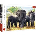 Trefl Puzzle - African elephants (1000 pieces) Gulv