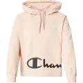 Champion 114418 Hettegenser
