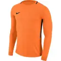 Nike Dry Park Iii Langarmet T-skjorte