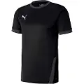 Puma Teamgoal 23 Kortarmet T-skjorte