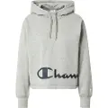 Champion 114418 Hettegenser