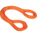 Mammut Alpine Dry 8.0 Mm Tau