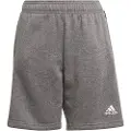Adidas Tiro 21 Shorts