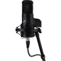 Warm Audio WA-8000 Condenser Microphone