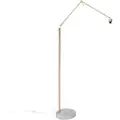 QAZQA Moderne gulvlampe gull justerbar - Editor
