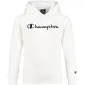 Champion 305358 Hettegenser