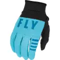 FLY Racing F-16 Hansker