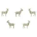 Safari Lykkegeiter Minifigur