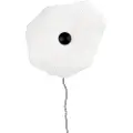 Globen Lighting Globen LightingPlafond / Vegglampe Tropez 60HvitPlafonderFra Homeroom